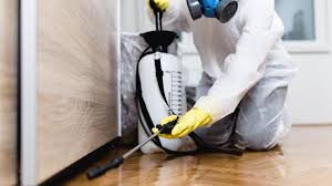 Best Pest Exclusion Services  in Glens Falls North, NY